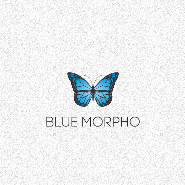 BLUE MORPHO