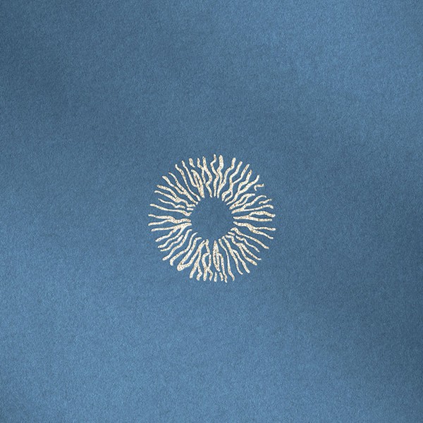 Artisan logodesign for an Iris Photographer