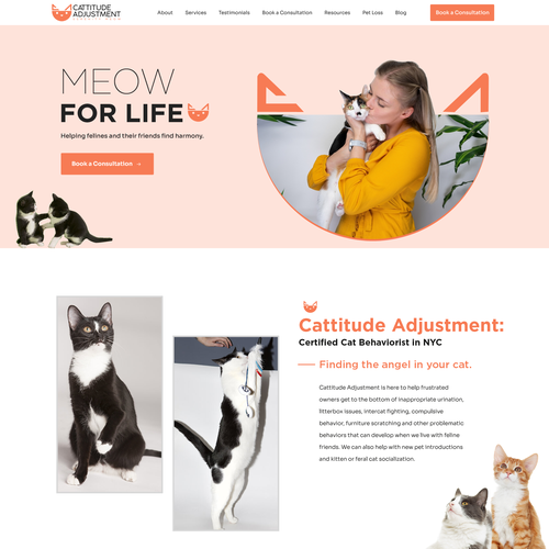 Create a website refresh for a cat behavior consultant! Design by Pinku