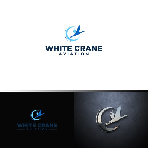 Logo for a Safe and Modern Aircraft rental company Design by ybur10