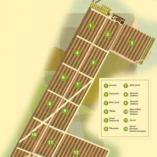 Artist interpretation of a Vineyard map Design by Andres M.