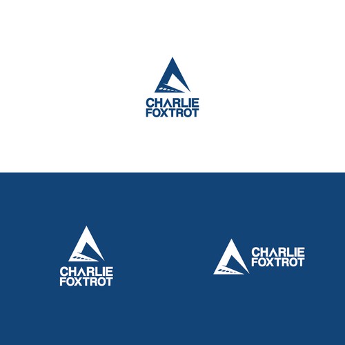 Aviation Company LOGO Design by froxoo