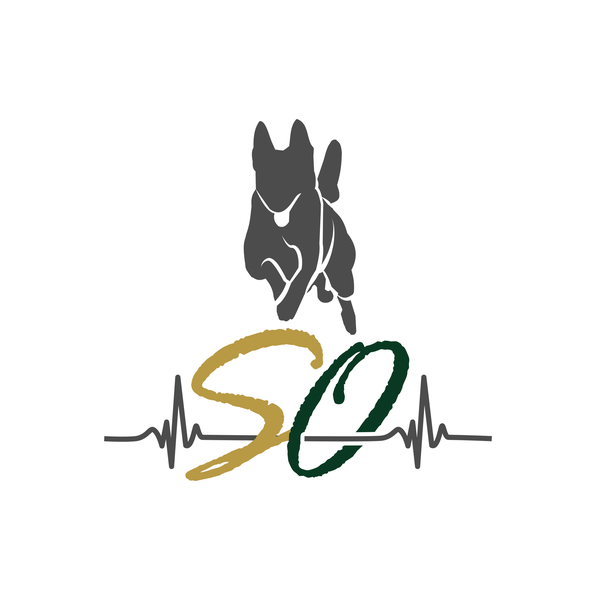 Design by Rziko1 titled "SO"