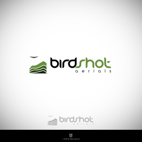 Create a high-flying view for Birdshot Aerials Design by Mastah Killah 187