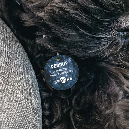  contest entry by Lina Becerra