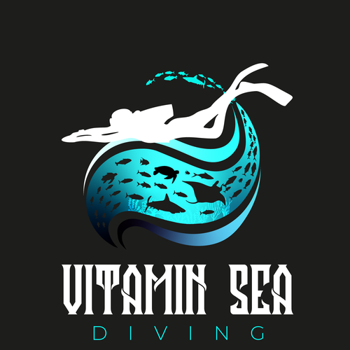 We need a powerful new logo and brand kit for a fun scuba shop Design by Parallax™