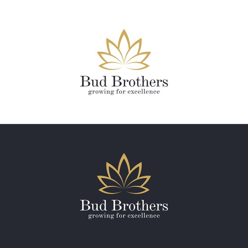  contest entry by FLprjct