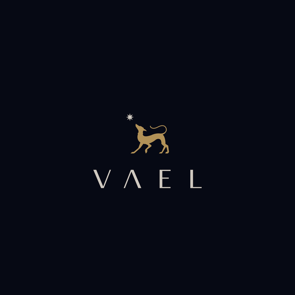 Vael Logo AVAILABLE FOR SALE