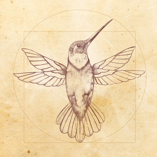 Leonardo da Vinci - Hummingbird Drawing Design por JOHNN L. JONES
