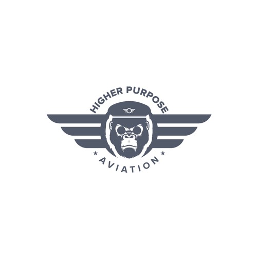 Higher Purpose Aviation Design by Akash Mollik