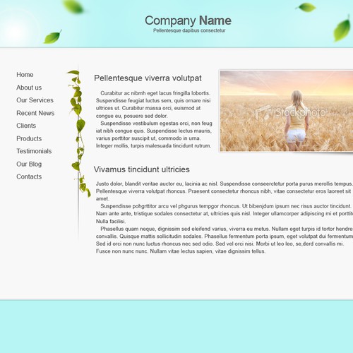 1-3 Page Website Template Design von kpp0209