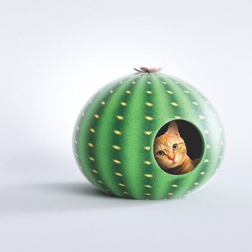 Cat Cave Design Design by faks