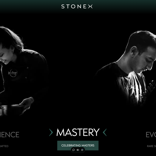 StonexIndia Website Design