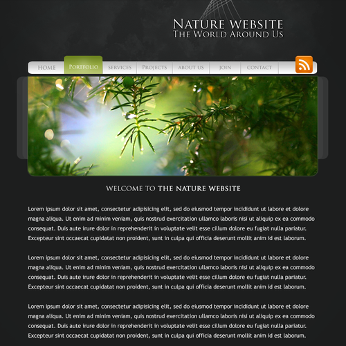 1-3 Page Website Template Design von zine.studios