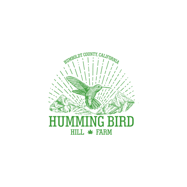 Humming Bird Logo Concept