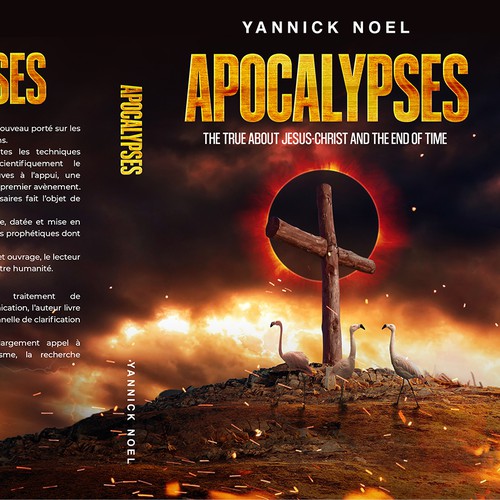 Book cover contest entry by Evocative ✘