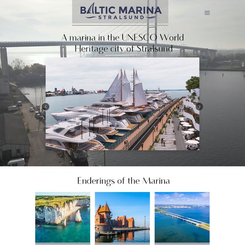 Diseño de página web propuesta en el concurso por Designlove007