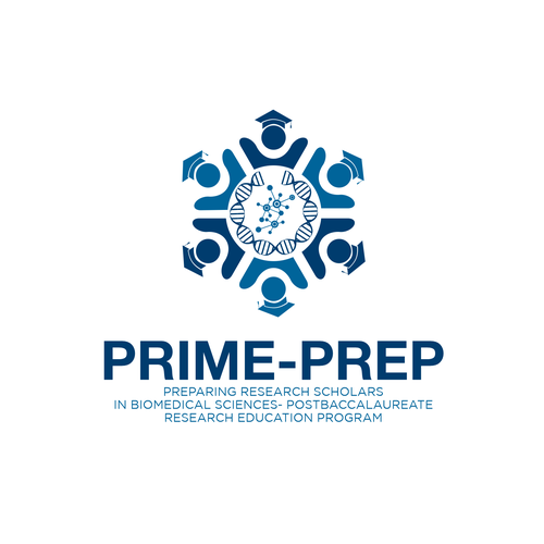 Design Logo for new research/education 'PREP' prgm 4 talented young scientists from diverse backgrounds por SrvArt