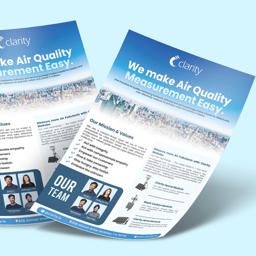 Design one-pager company overview Design von E-SolBiz™