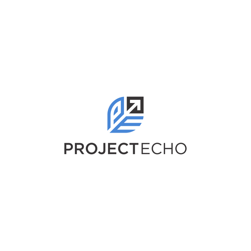 Project Echo Logo