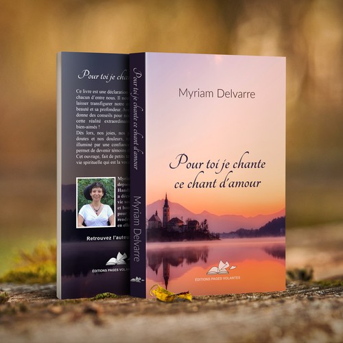 Book cover contest entry by Hainevy