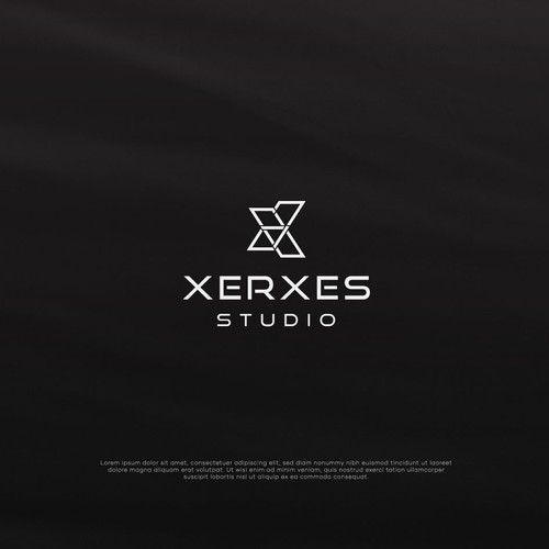 Design an impactful and creative logo and develop a brand guide for our video production company Design by Catalin T.