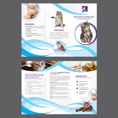 Help cats! by creating a brochure for a common CAT disease Brochure contest
