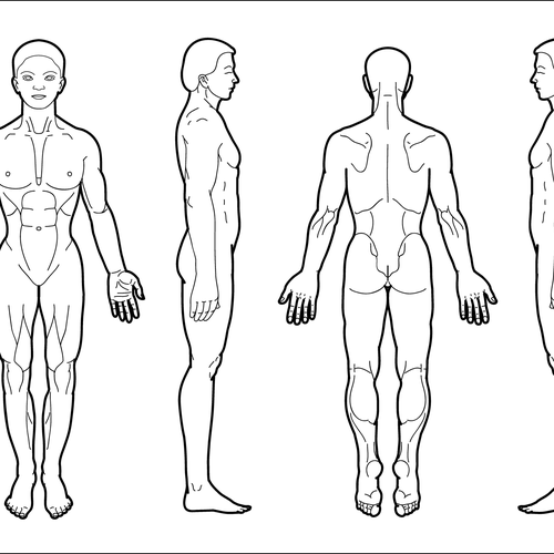 Body Diagram for Professional Massage Chart: front, back, left and