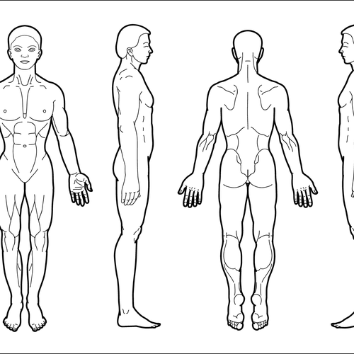 Body Diagram for Professional Massage Chart: front, back ...