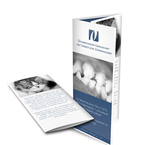  contest entry by Khokan Design