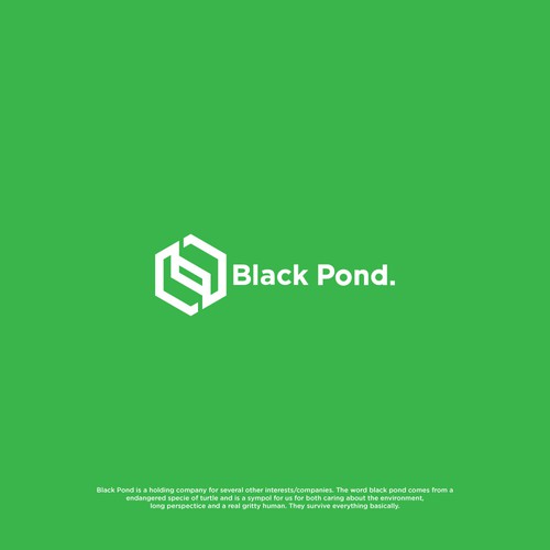 Design For A Swedish Holding Company Black Pond Logo Design