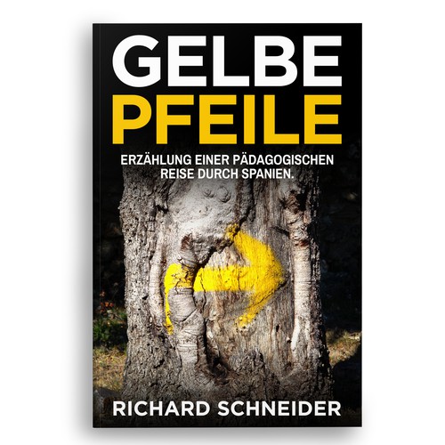 Book cover contest entry by Bigpoints