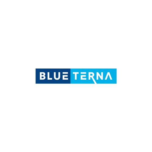 Blueterna Branding contest Design by Half-Tone™