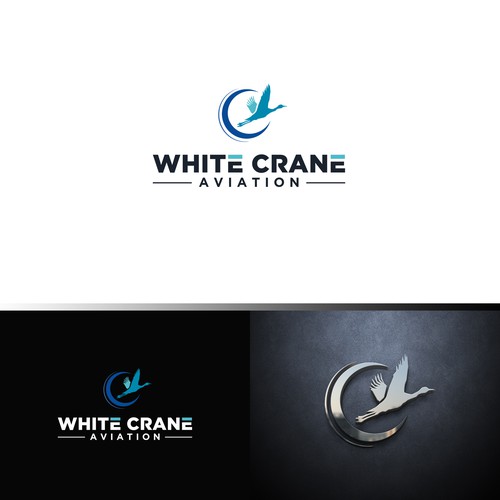 Logo for a Safe and Modern Aircraft rental company Design by ybur10