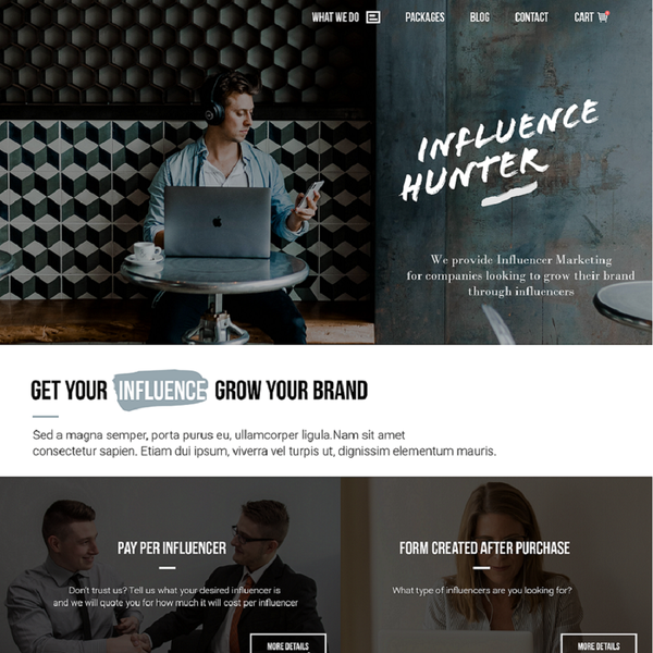 Redesign Web for Influence Hunter Company