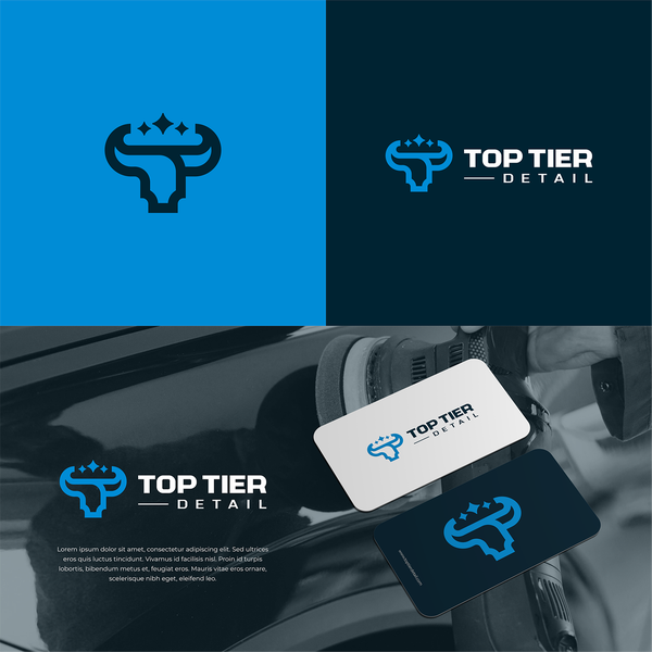 logo concept for top tier detail