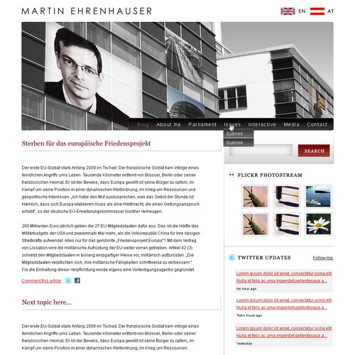 Wordpress Theme for MEP Martin Ehrenhauser Design por Mokkelson