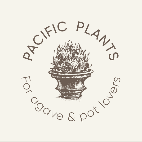 PACIFIC PLANTS