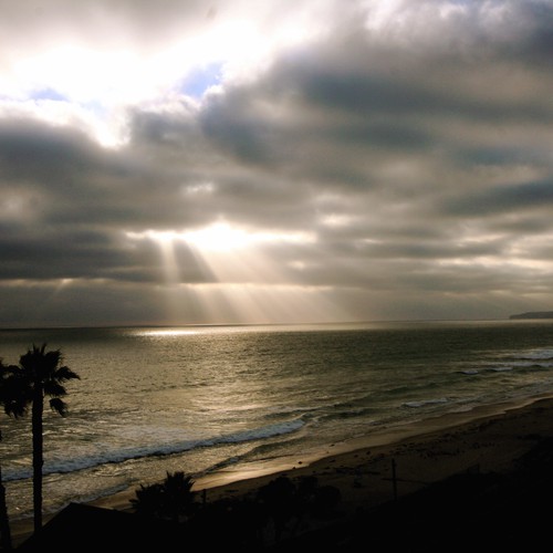 Design Rick Warren's New Book Cover Design by Sue Foley