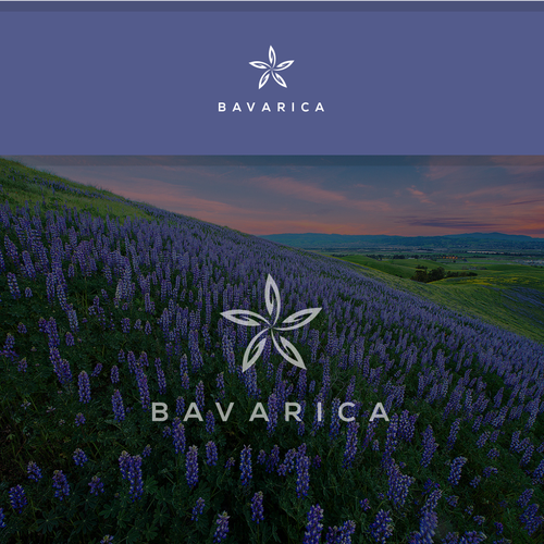  contest entry by V'Official