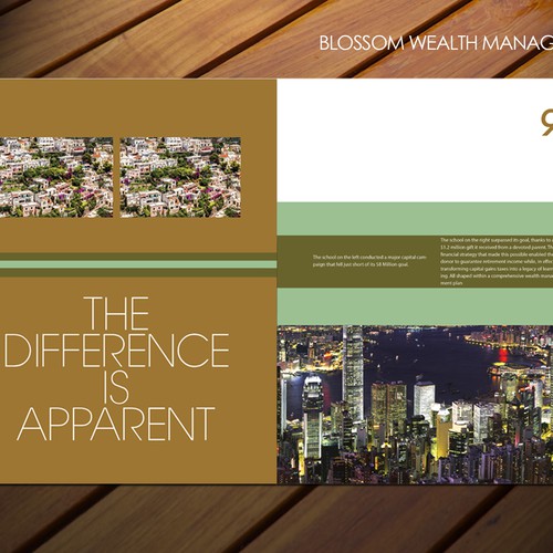 Brochure Redesign from Template for Financial Firm Design by sadzip