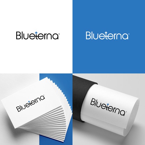 Blueterna Branding contest Design by Imam H.