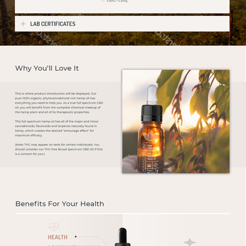 WordPress theme design contest entry by ViGao
