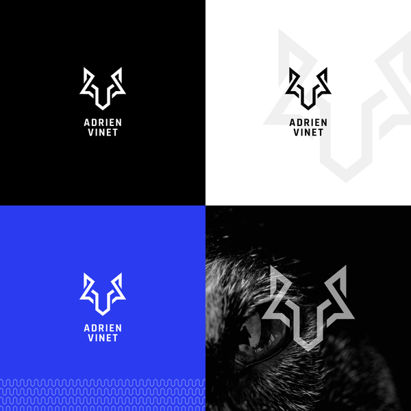 Minimalistic logo for cyber-security consulting