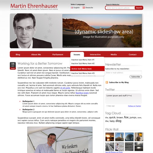 Wordpress Theme for MEP Martin Ehrenhauser Ontwerp door Team Kittens