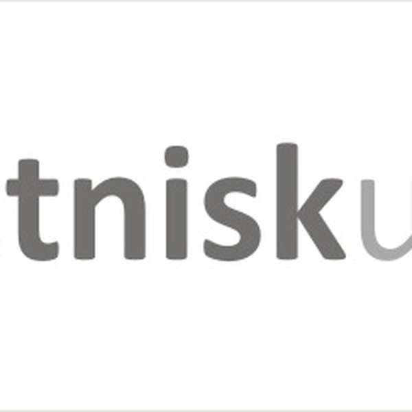 Winning Logo - Etniskutsikt  