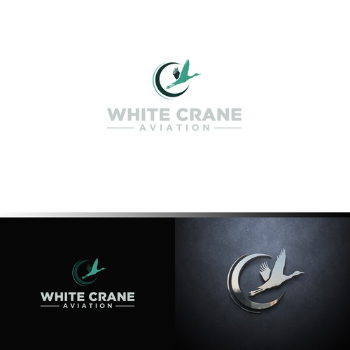 Logo for a Safe and Modern Aircraft rental company Design by ybur10