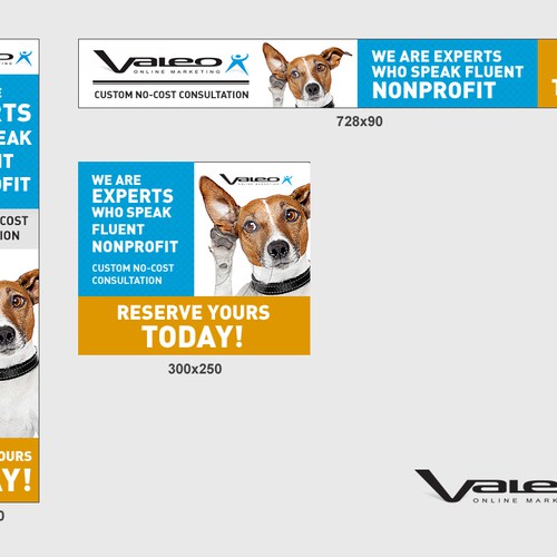Banner Ad For Valeo Design And Marketing Sizes 728x90 160x600