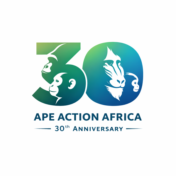 AAA Logo