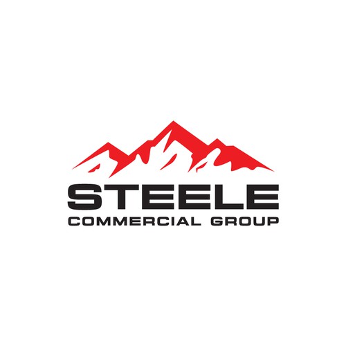 Steele Commercial Group Design by Fast Studio⚡